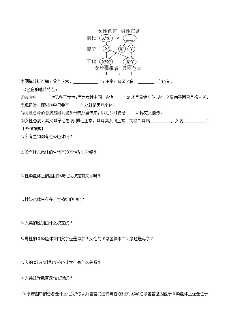 人教版高中生物必修二2.3《伴性遗传》（导学案）（原卷版）第3页