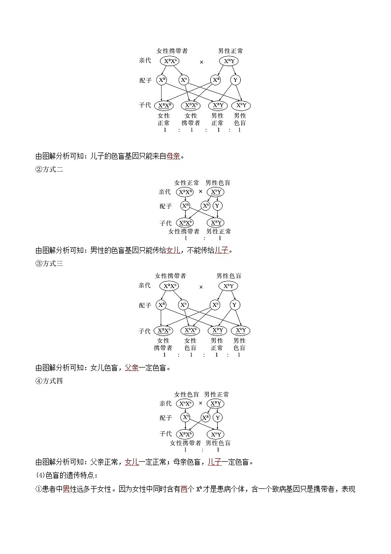 人教版高中生物必修二2.3《伴性遗传》（导学案）（解析版）第2页