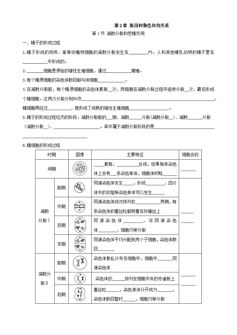 人教版高中生物必修二第2章《基因和染色体的关系》（单元知识清单）（默写版）第1页