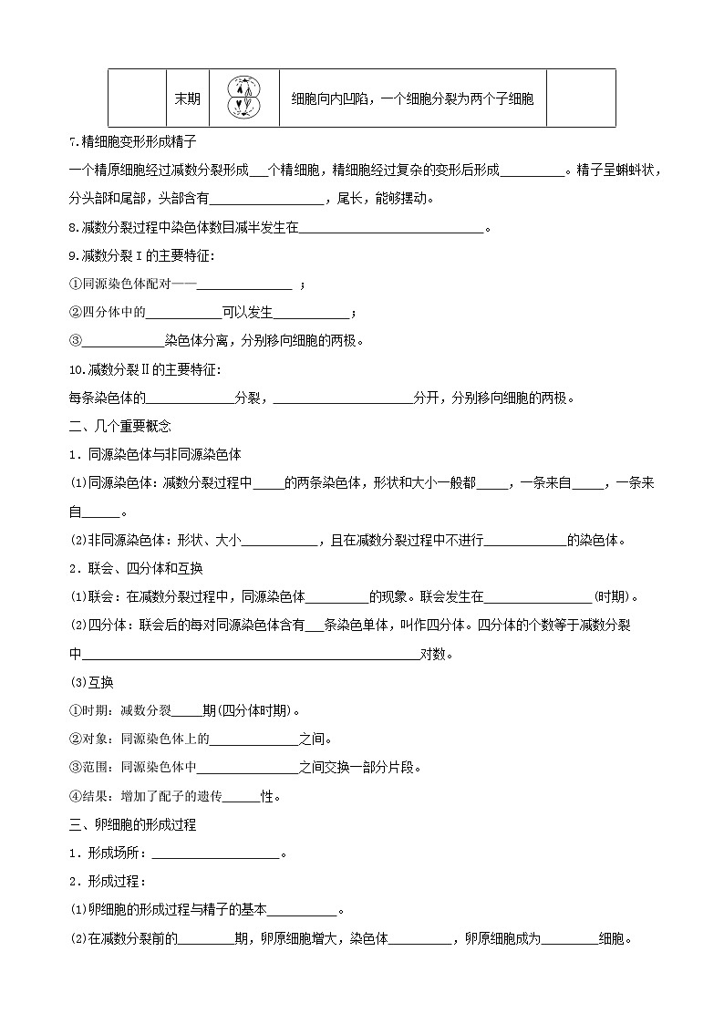 人教版高中生物必修二第2章《基因和染色体的关系》（单元知识清单）（默写版）第2页