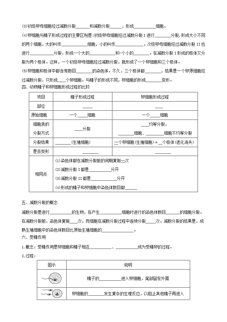 人教版高中生物必修二第2章《基因和染色体的关系》（单元知识清单）（默写版）第3页