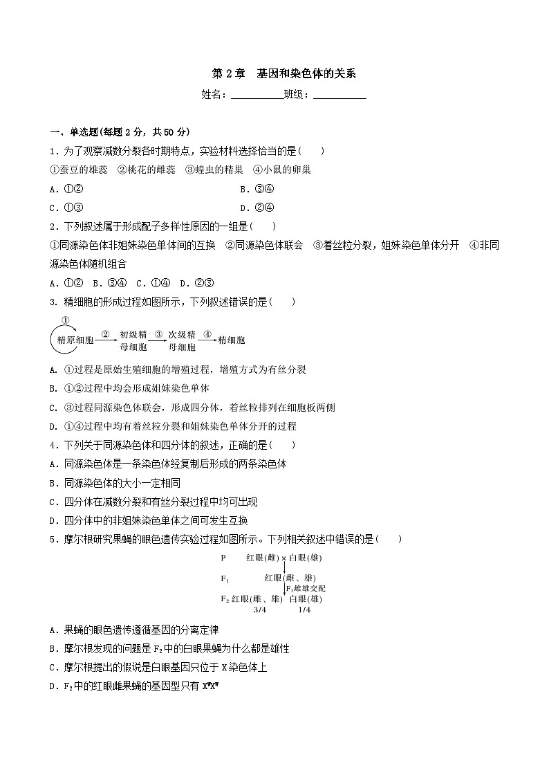 人教版高中生物必修二第2章《基因和染色体的关系》（单元测试）（原卷版）第1页