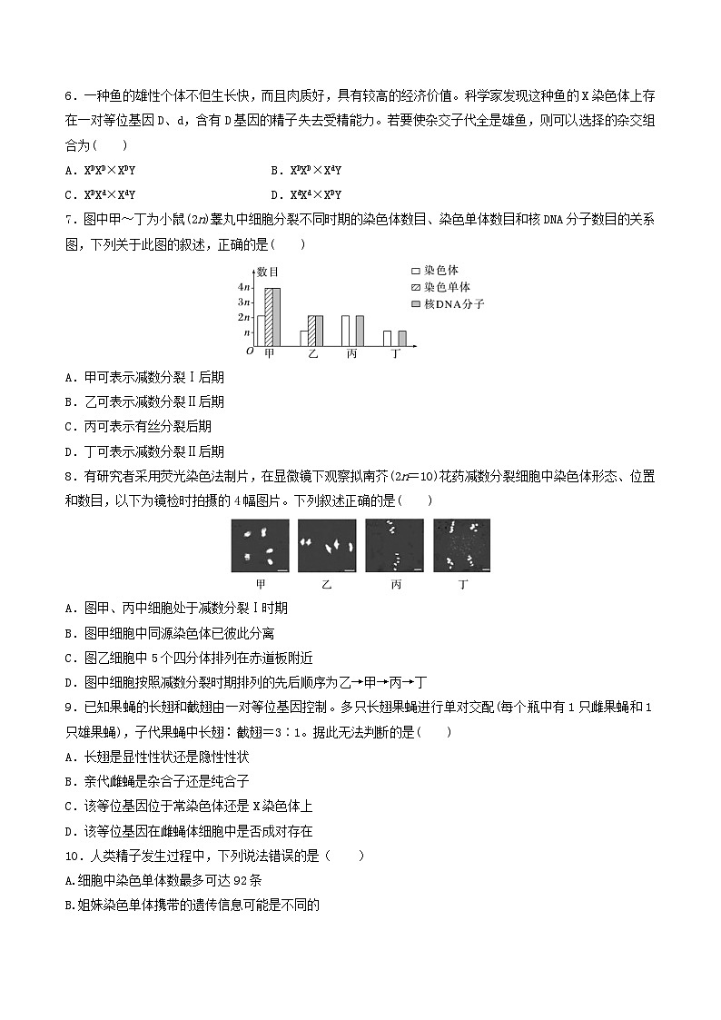 人教版高中生物必修二第2章《基因和染色体的关系》（单元测试）（原卷版）第2页