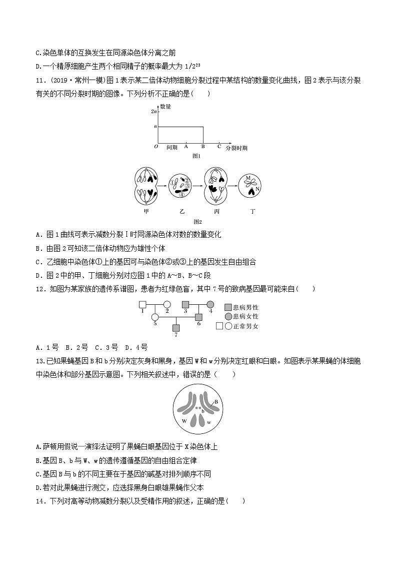 人教版高中生物必修二第2章《基因和染色体的关系》（单元测试）（原卷版）第3页