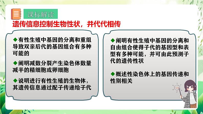 人教版高中生物必修二第2章《基因和染色体的关系》（单元解读课件）第2页