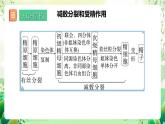 人教版高中生物必修二第2章《基因和染色体的关系》单元复习课件+单元解读课件+知识清单+单元测试