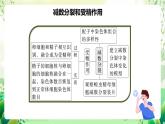 人教版高中生物必修二第2章《基因和染色体的关系》单元复习课件+单元解读课件+知识清单+单元测试