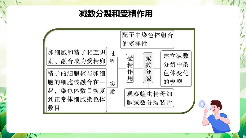 人教版高中生物必修二第2章《基因和染色体的关系》（单元复习课件）第4页