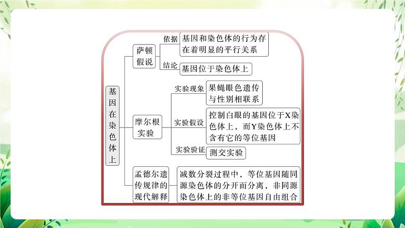 人教版高中生物必修二第2章《基因和染色体的关系》（单元复习课件）第5页