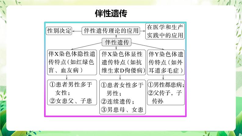 人教版高中生物必修二第2章《基因和染色体的关系》（单元复习课件）第6页