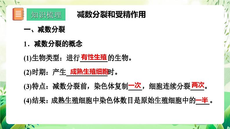 人教版高中生物必修二第2章《基因和染色体的关系》（单元复习课件）第7页