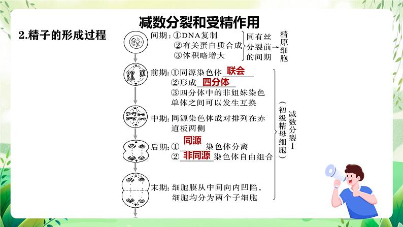 人教版高中生物必修二第2章《基因和染色体的关系》（单元复习课件）第8页