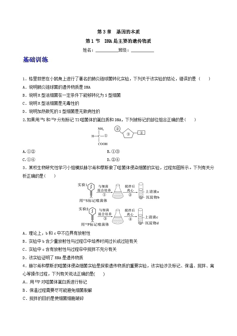 人教版高中生物必修二3.1 《DNA是主要的遗传物质》（分层作业）（原卷版）第1页