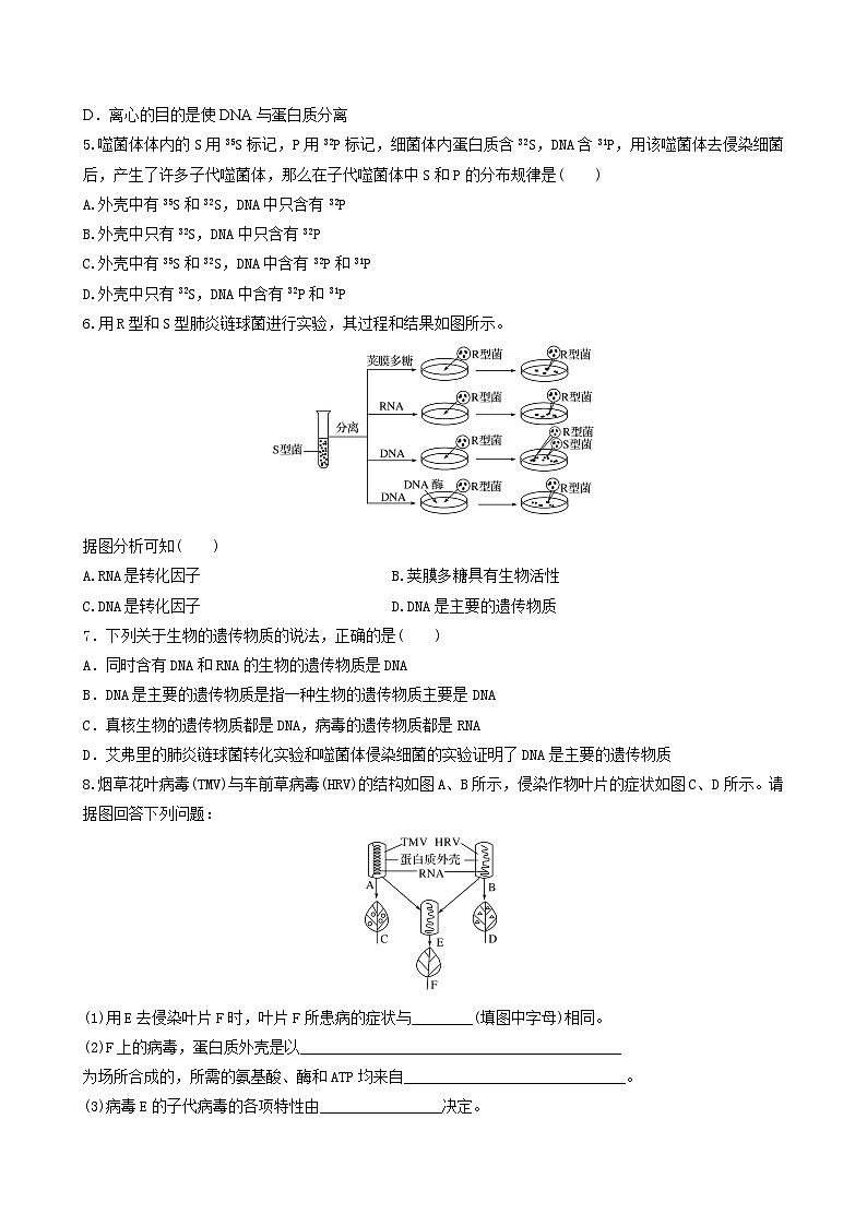人教版高中生物必修二3.1 《DNA是主要的遗传物质》（分层作业）（原卷版）第2页
