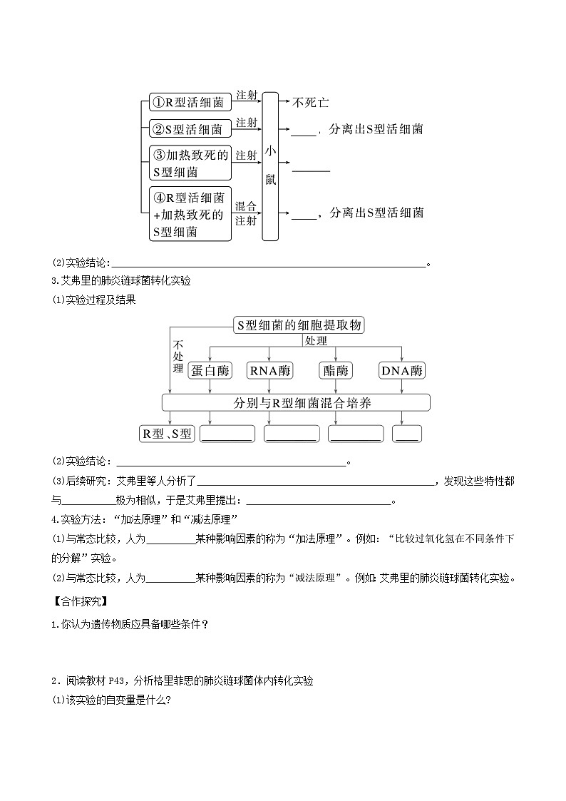 人教版高中生物必修二3.1 《DNA是主要的遗传物质》（导学案）（原卷版）第2页