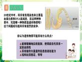 人教版高中生物必修二3.1 《DNA是主要的遗传物质》课件+教案+分层练习+导学案