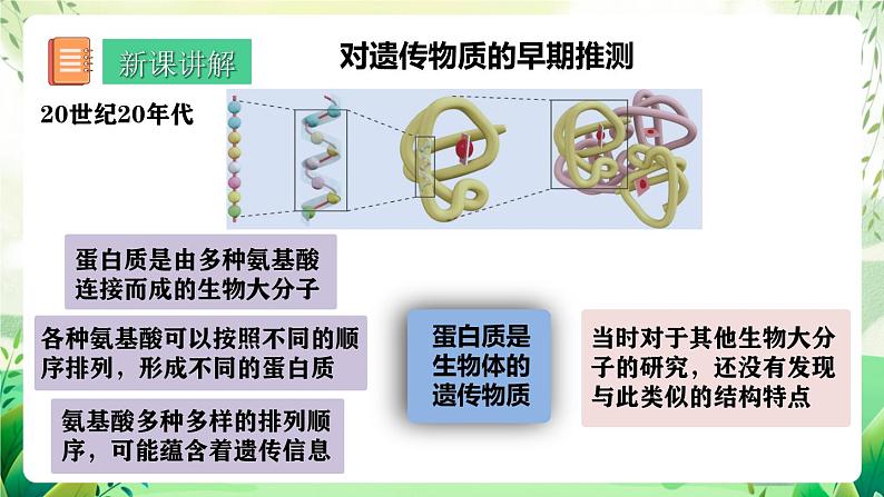 人教版高中生物必修二3.1 《DNA是主要的遗传物质》（教学课件）第5页