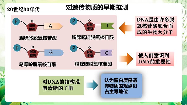 人教版高中生物必修二3.1 《DNA是主要的遗传物质》（教学课件）第6页