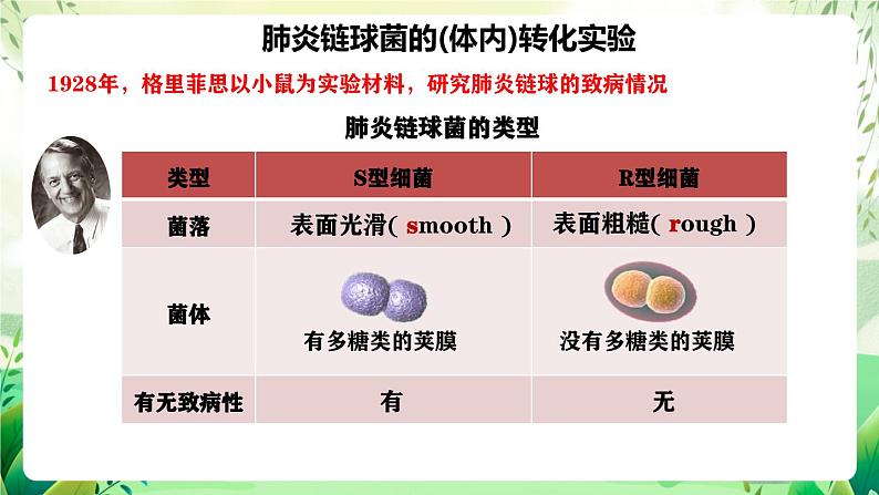 人教版高中生物必修二3.1 《DNA是主要的遗传物质》（教学课件）第7页