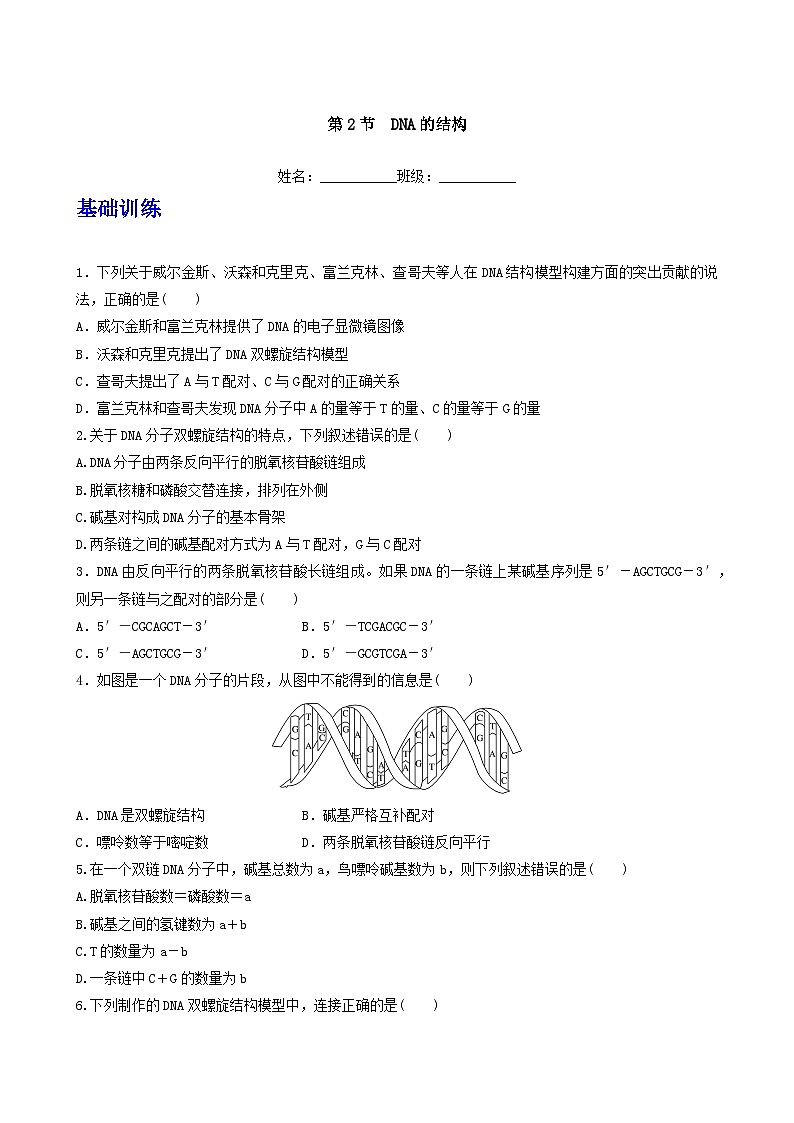 人教版高中生物必修二3.2《 DNA的结构》（分层作业）（原卷版）第1页