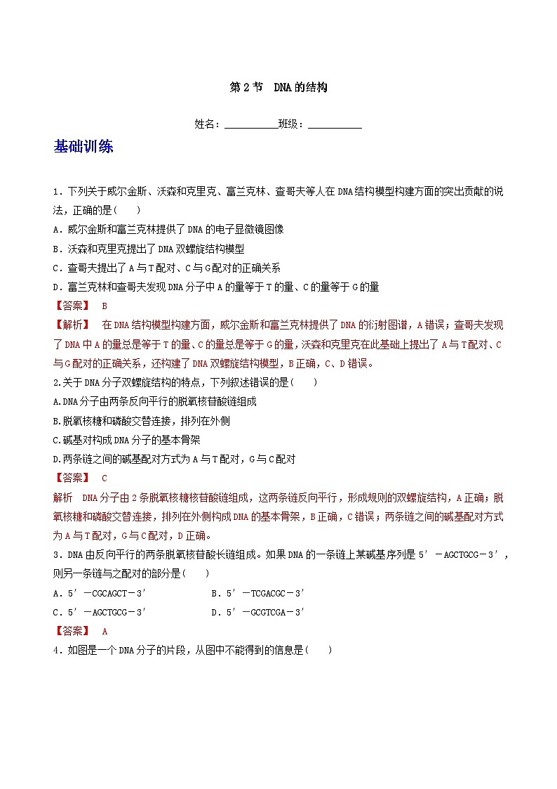 人教版高中生物必修二3.2《 DNA的结构》（分层作业）（解析版）第1页