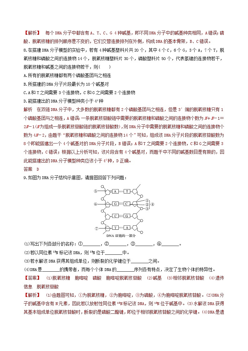 人教版高中生物必修二3.2《 DNA的结构》（分层作业）（解析版）第3页