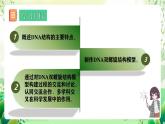 人教版高中生物必修二3.2《 DNA的结构》课件+教案+分层练习+导学案