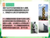 人教版高中生物必修二3.2《 DNA的结构》课件+教案+分层练习+导学案