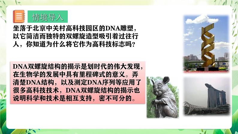 人教版高中生物必修二3.2《 DNA的结构》（教学课件）第3页