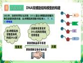 人教版高中生物必修二3.2《 DNA的结构》课件+教案+分层练习+导学案