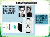 人教版高中生物必修二3.2《 DNA的结构》课件+教案+分层练习+导学案