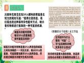 人教版高中生物必修二3.3《DNA的复制》课件+教案+分层练习+导学案