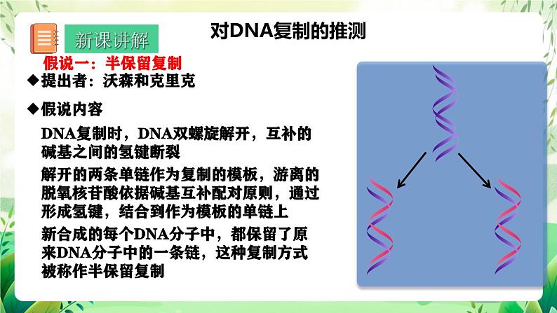 人教版高中生物必修二3.3《DNA的复制》（教学课件）第4页