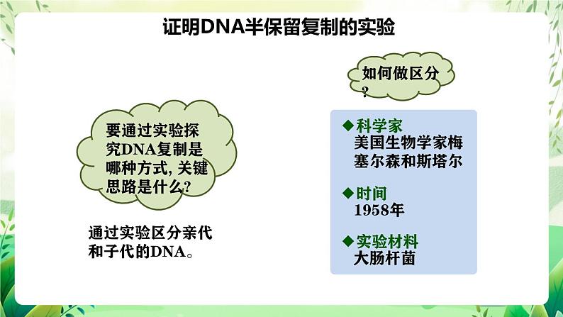 人教版高中生物必修二3.3《DNA的复制》（教学课件）第6页