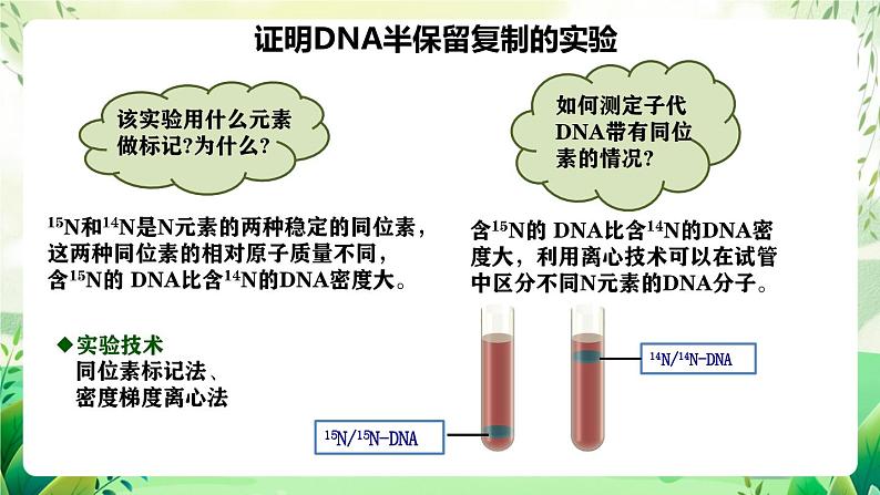 人教版高中生物必修二3.3《DNA的复制》（教学课件）第7页