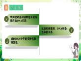 人教版高中生物必修二3.4《基因通常是有遗传效应的DNA片段》课件+教案+分层练习+导学案