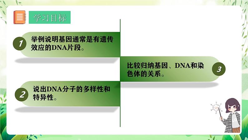 人教版高中生物必修二3.4《基因通常是有遗传效应的DNA片段》（教学课件）第2页