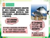 人教版高中生物必修二3.4《基因通常是有遗传效应的DNA片段》课件+教案+分层练习+导学案