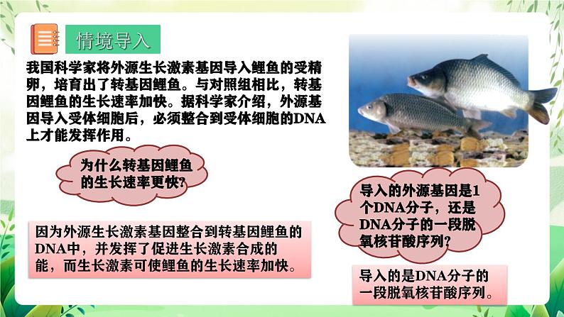 人教版高中生物必修二3.4《基因通常是有遗传效应的DNA片段》（教学课件）第3页