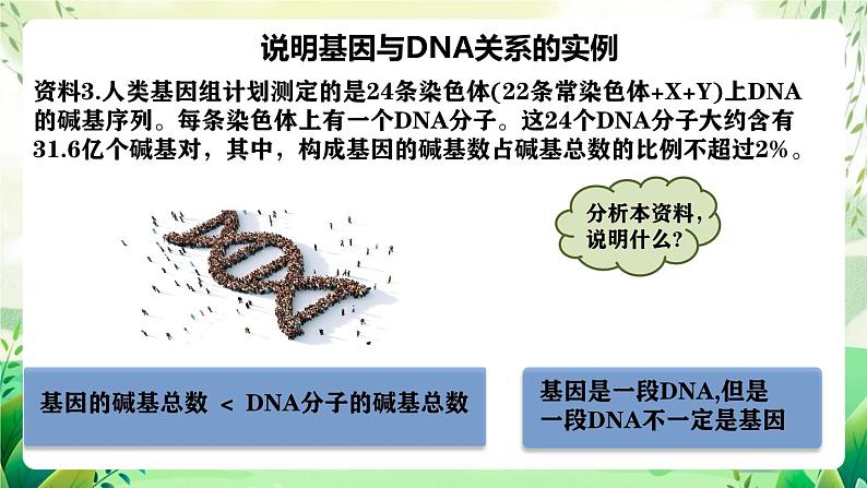 人教版高中生物必修二3.4《基因通常是有遗传效应的DNA片段》（教学课件）第6页