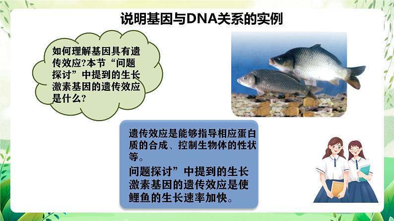 人教版高中生物必修二3.4《基因通常是有遗传效应的DNA片段》（教学课件）第7页