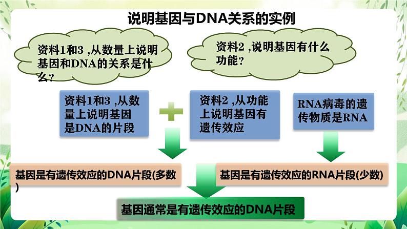 人教版高中生物必修二3.4《基因通常是有遗传效应的DNA片段》（教学课件）第8页