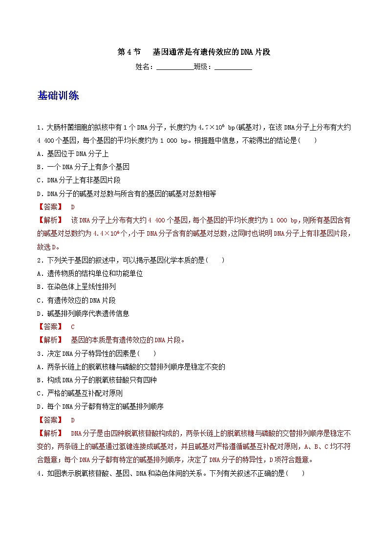 人教版高中生物必修二3.4《基因通常是有遗传效应的DNA片段》（分层作业）（解析版）第1页