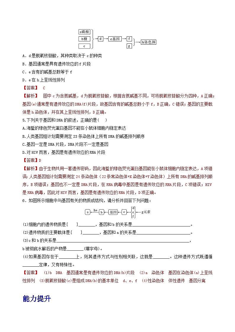 人教版高中生物必修二3.4《基因通常是有遗传效应的DNA片段》（分层作业）（解析版）第2页