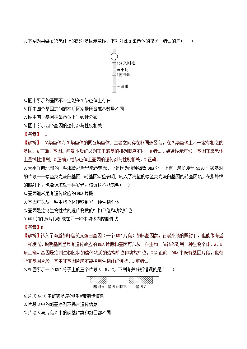 人教版高中生物必修二3.4《基因通常是有遗传效应的DNA片段》（分层作业）（解析版）第3页
