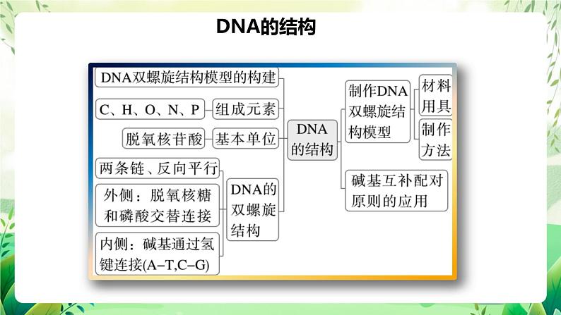 人教版高中生物必修二第3章《基因的本质》（单元复习课件）第3页