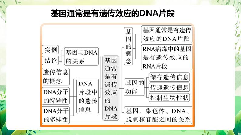 人教版高中生物必修二第3章《基因的本质》（单元复习课件）第5页