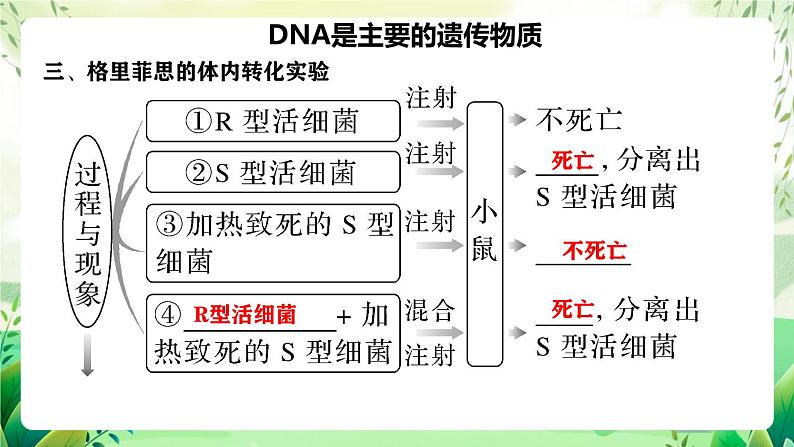 人教版高中生物必修二第3章《基因的本质》（单元复习课件）第8页