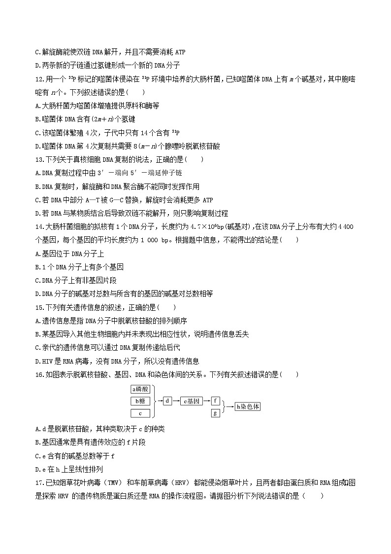 人教版高中生物必修二第3章《基因的本质》（单元检测）（原卷版）第3页