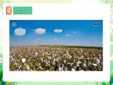 人教版高中生物必修二4.1《基因指导蛋白质的合成》（第1课时）课件+教案+分层练习+导学案